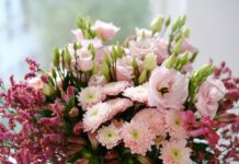 Поздравителен адрес до ПЧМГ и ЧНУ „Архимед“, гр. София